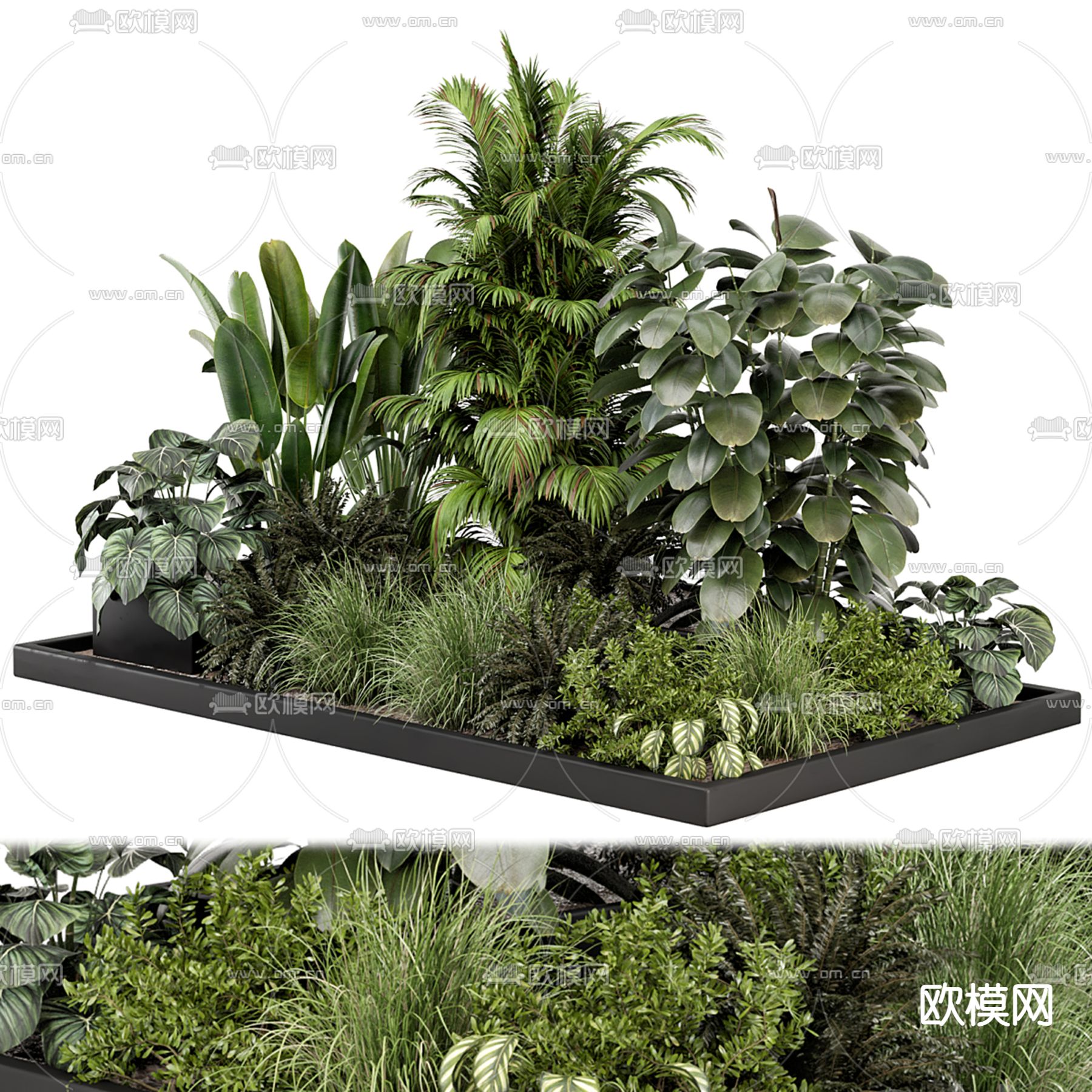 植物堆 园艺花圃 绿植造景3d模型下载（渲染图1）