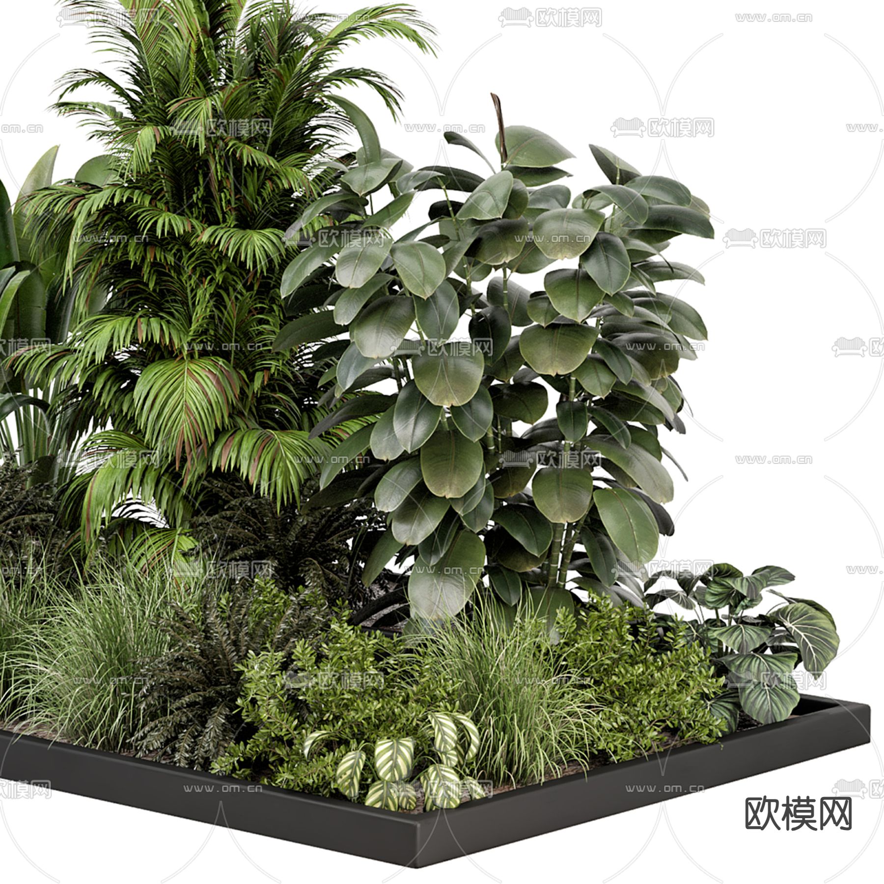 植物堆 园艺花圃 绿植造景3d模型下载（渲染图2）