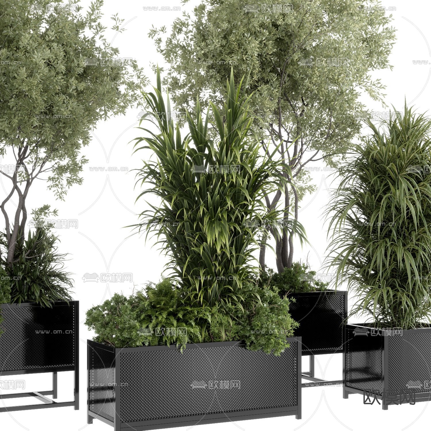 花箱 花槽 花池 盆栽3d模型下载（渲染图2）