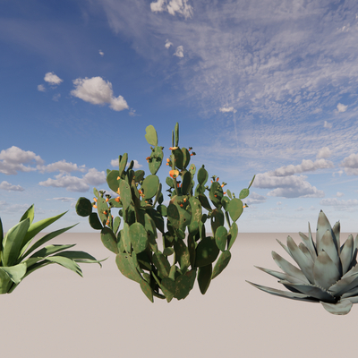  热带植物 仙人掌su模型 