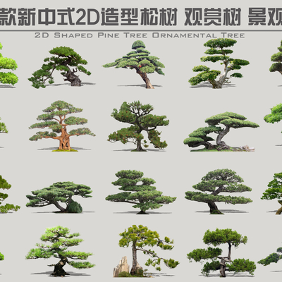  新中式松树观2d组件su模型 