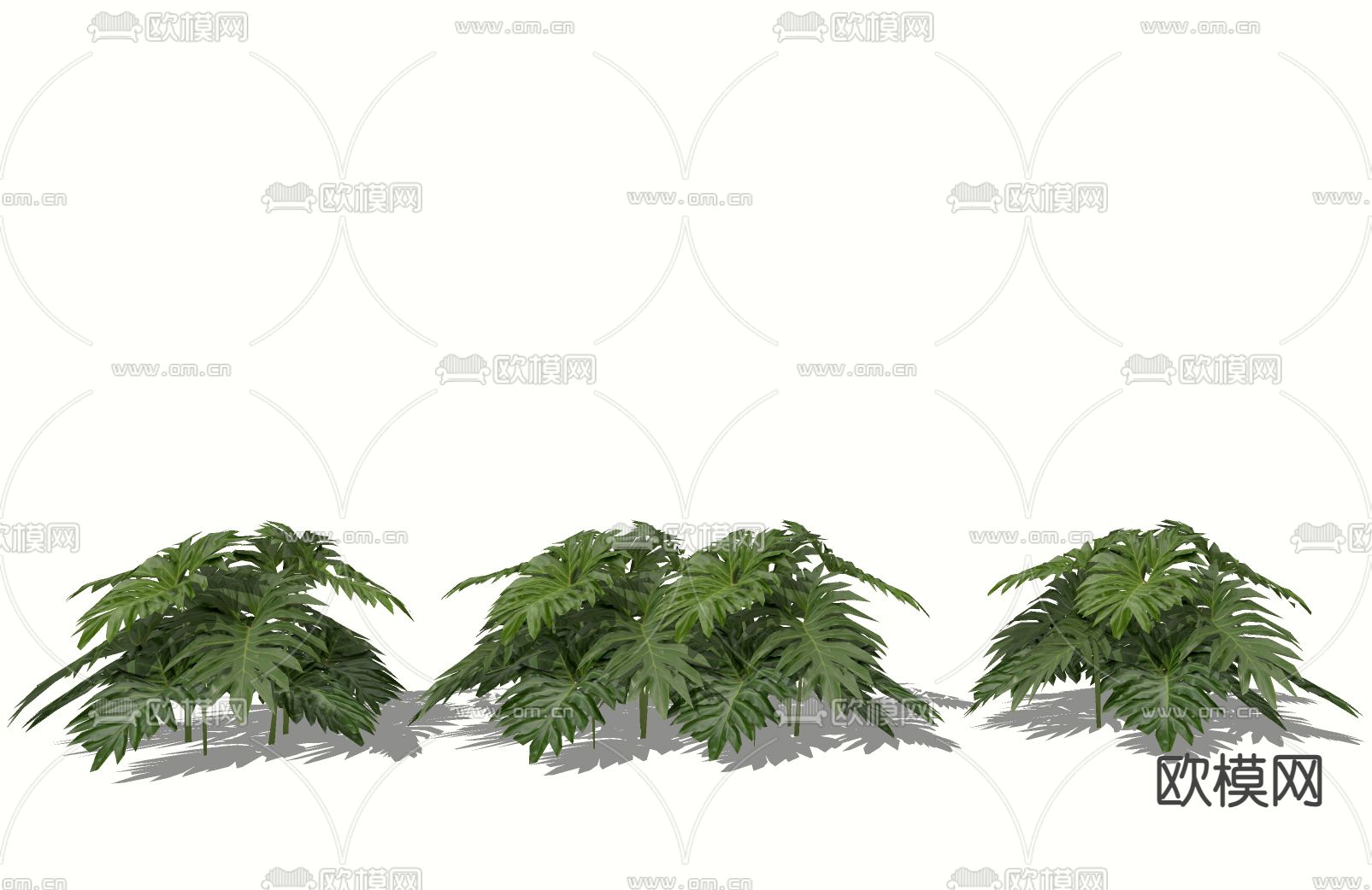 植物灌木 春雨 绿植su模型下载（渲染图2）