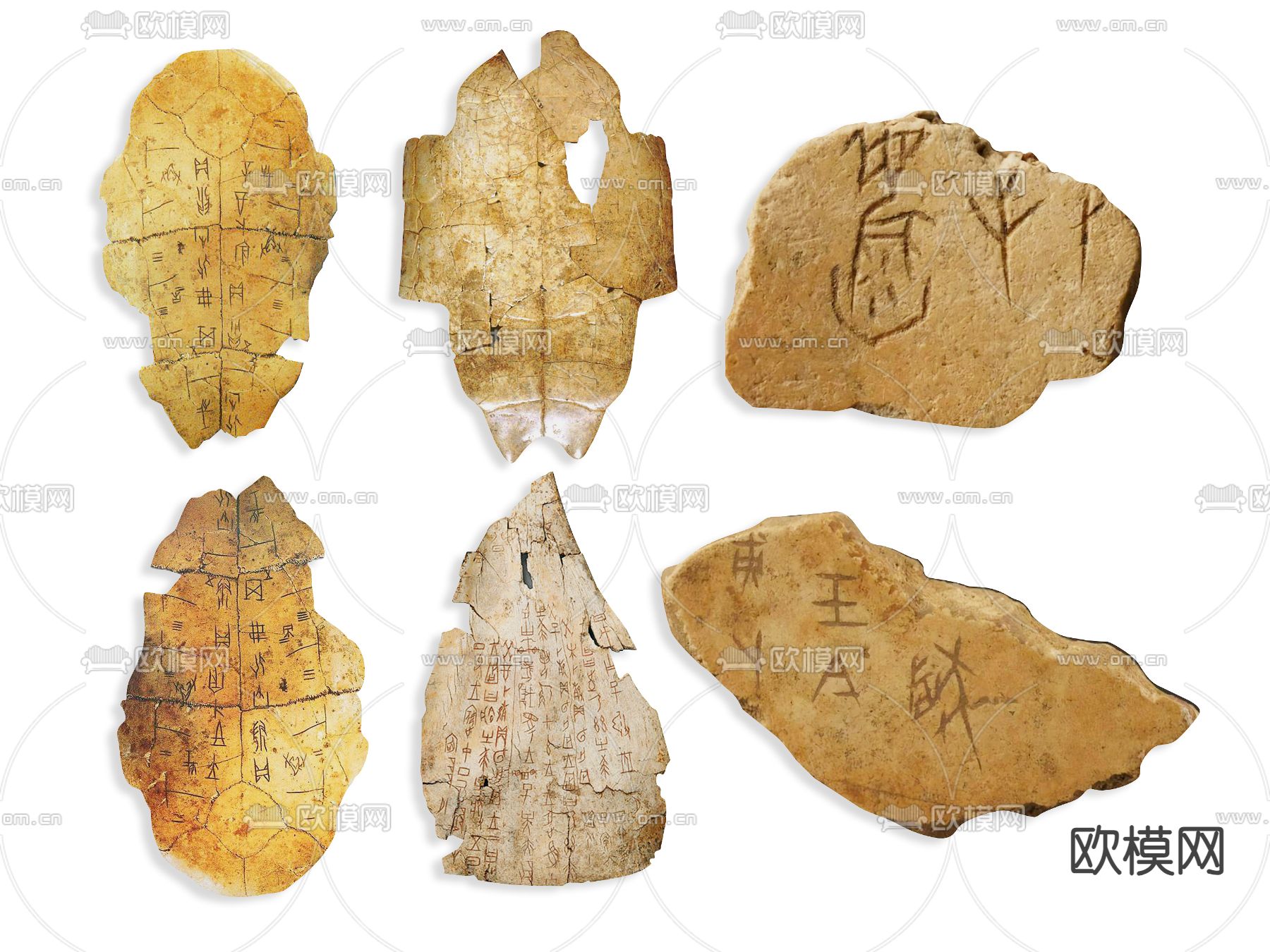 现代甲骨文 乌龟壳su模型