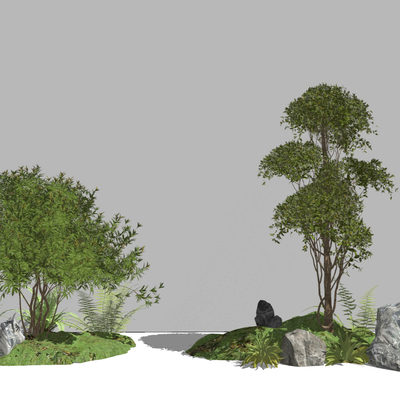  景观乔木 树su模型 