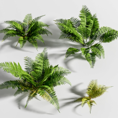  绿植 花草su模型 