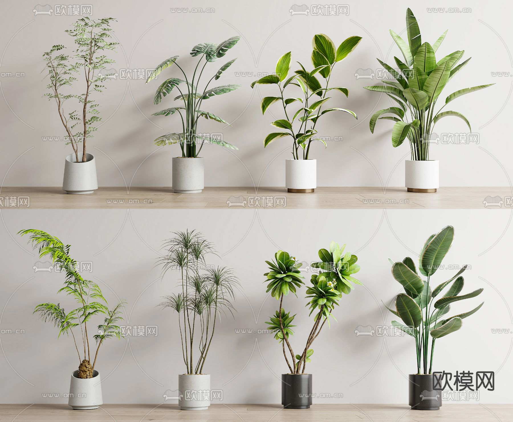 盆栽 盆景 绿植3d模型下载