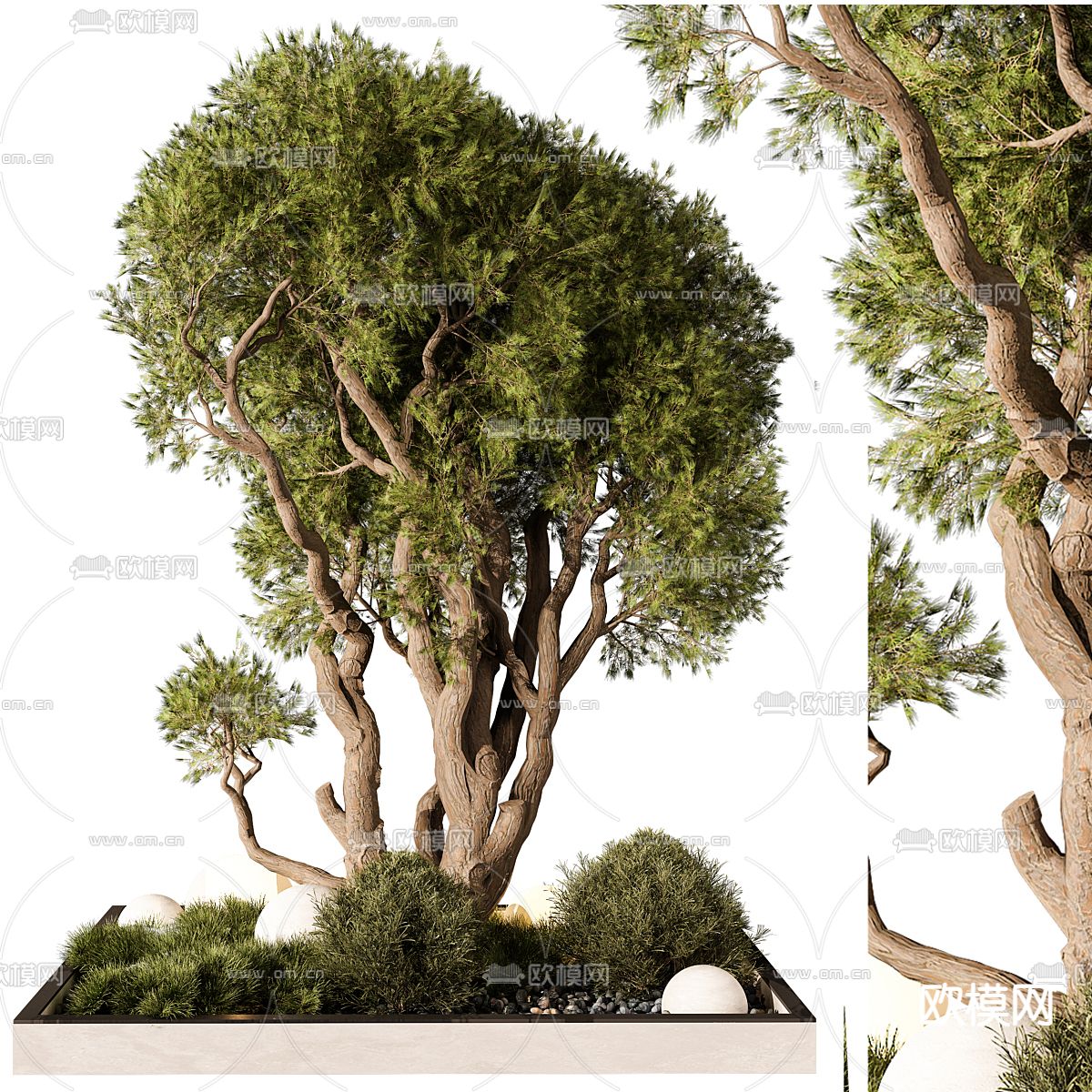 松树造景 植物堆3d模型下载
