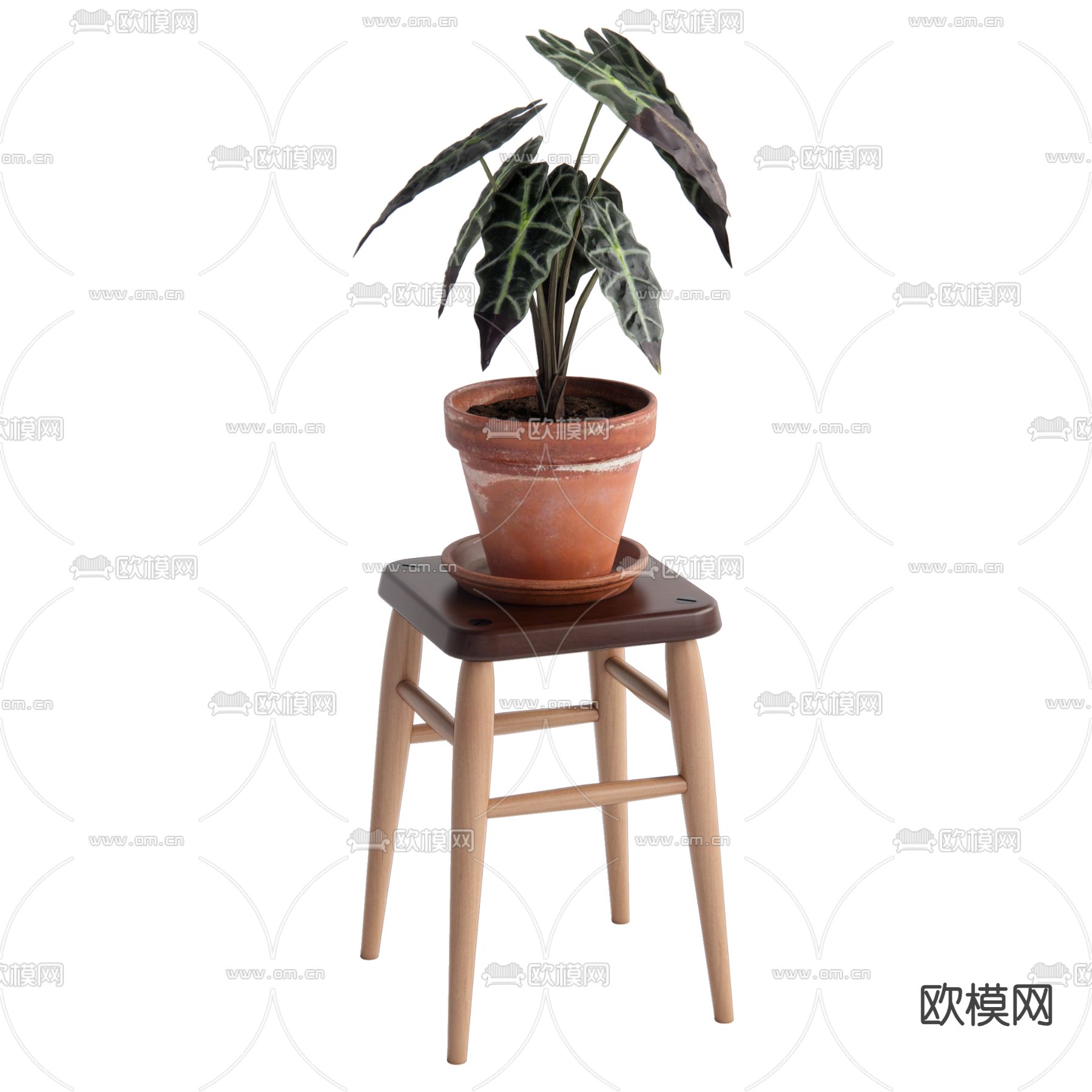 现代盆栽su模型下载（渲染图1）