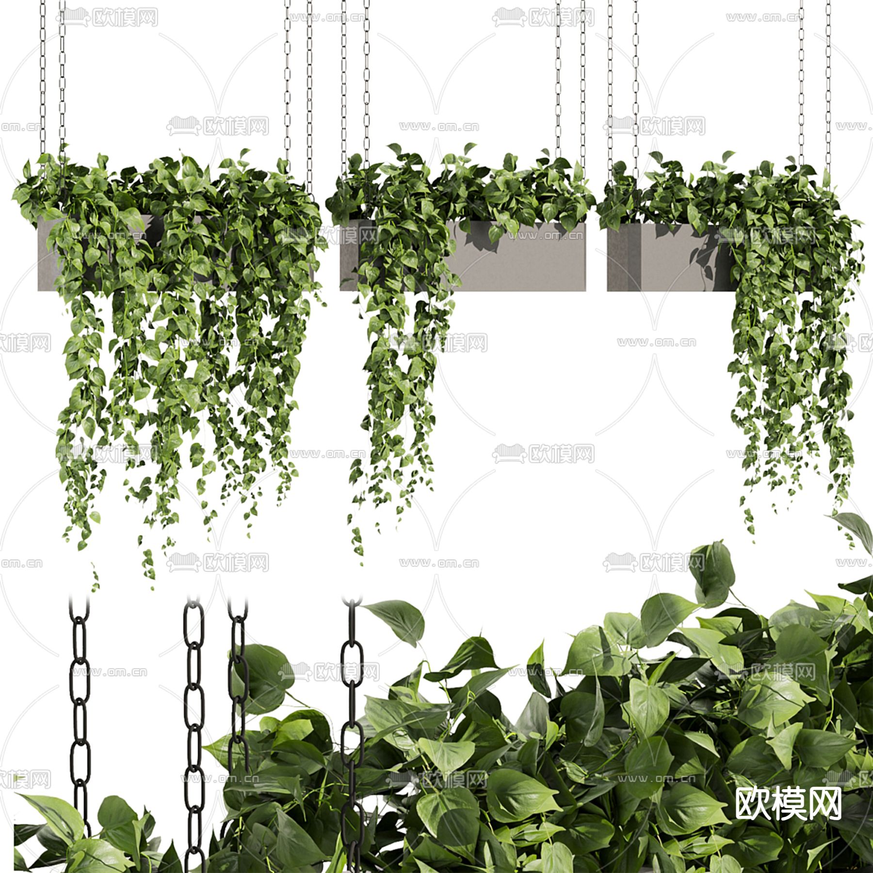 吊篮 吊兰 绿植3d模型下载（渲染图1）