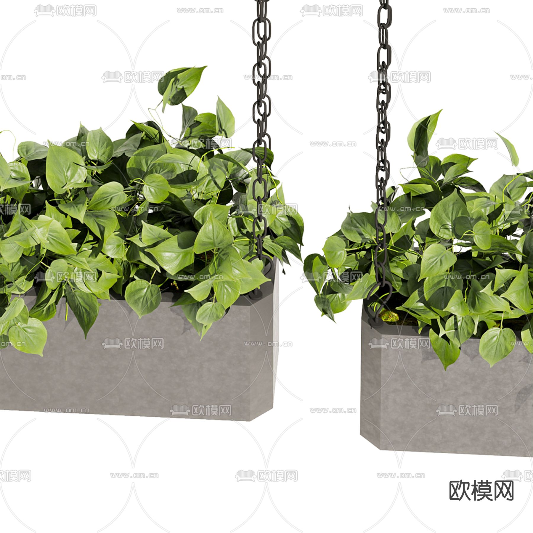 吊篮 吊兰 绿植3d模型下载（渲染图2）
