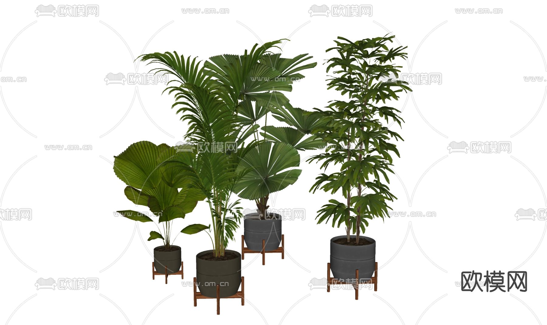 盆栽 盆景su模型下载（渲染图2）