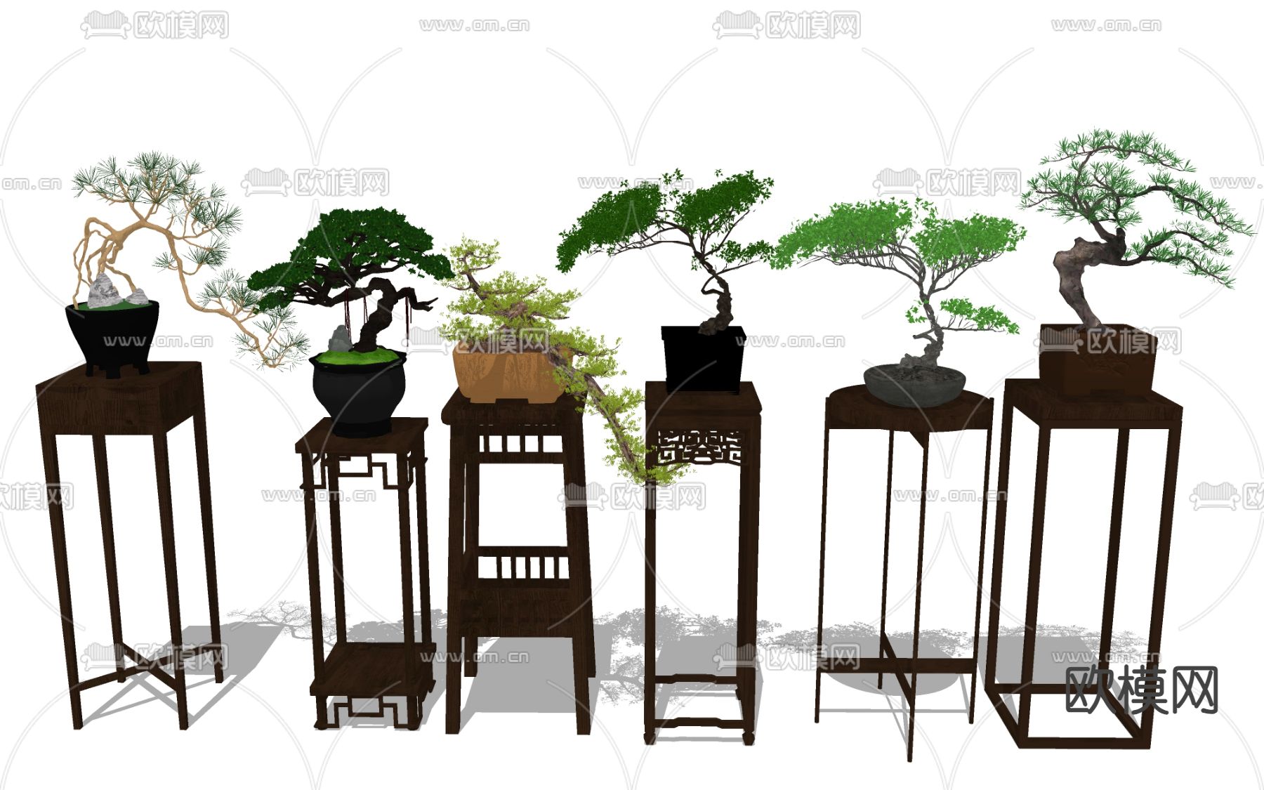 迎客松盆栽 盆景su模型下载