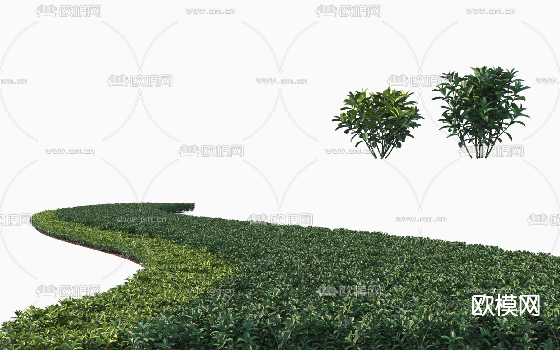 绿篱丛 灌木丛 造型灌木3d模型下载