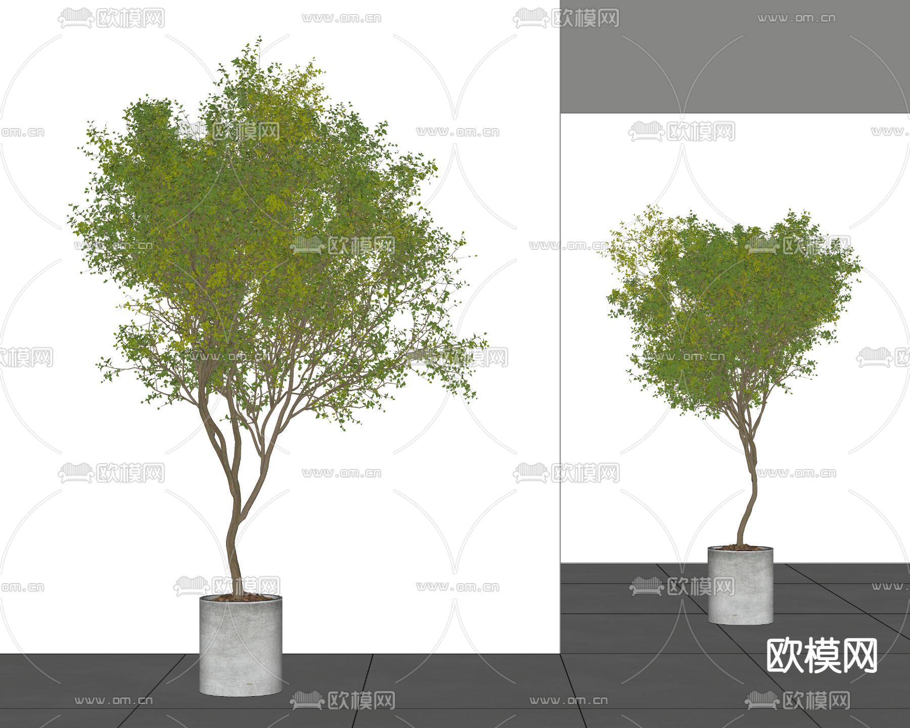 盆栽 盆景su模型
