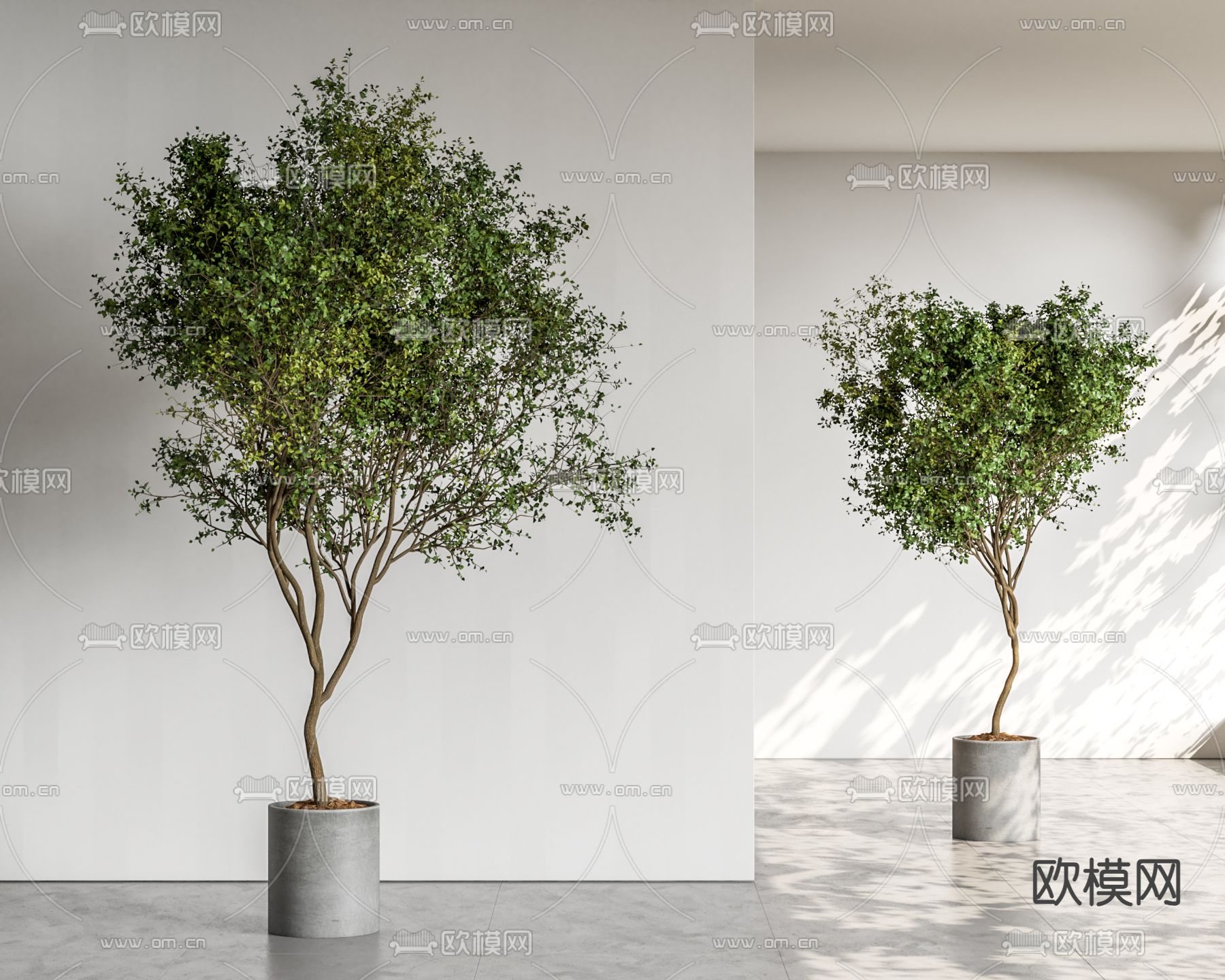 盆栽 盆景su模型