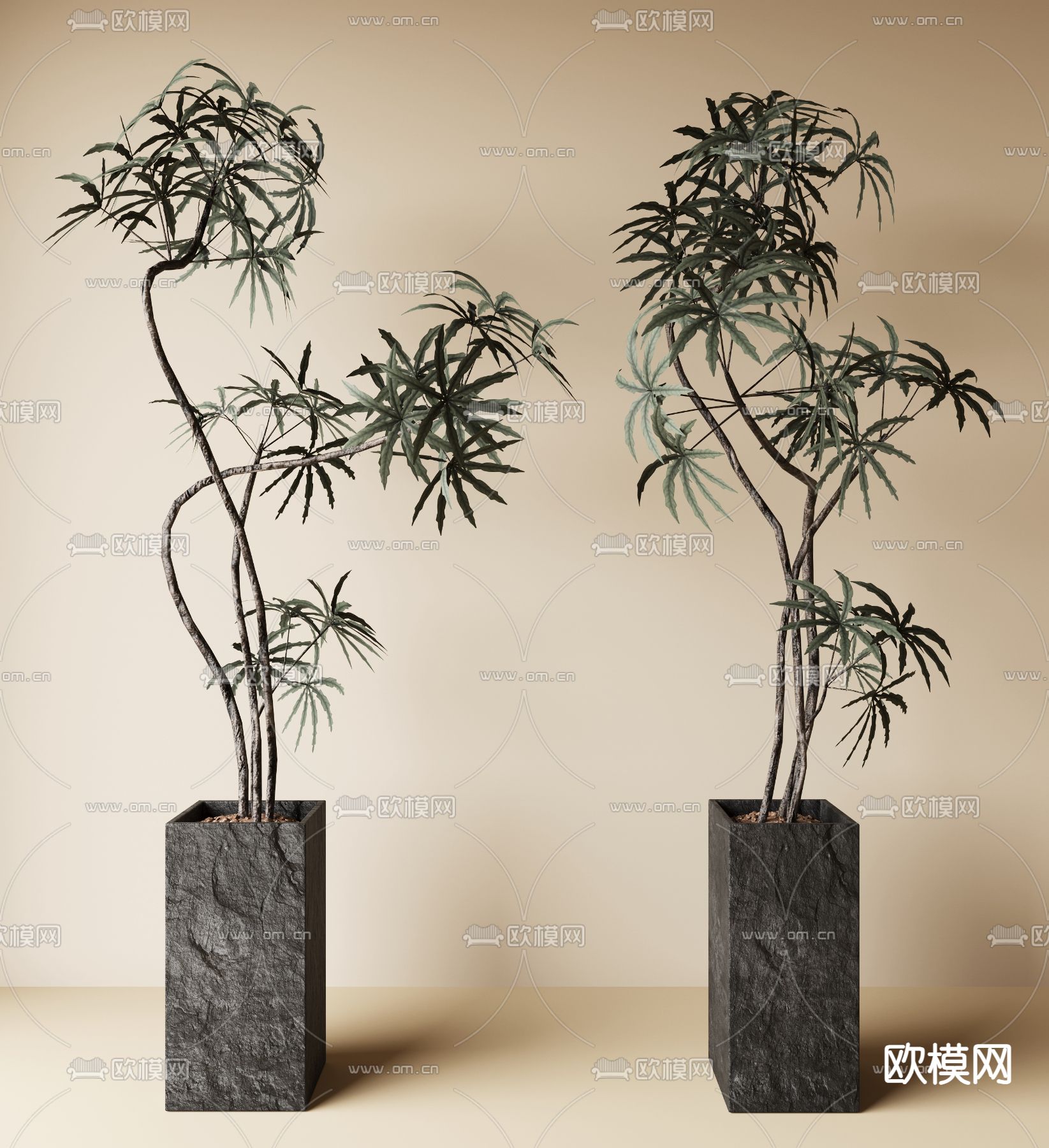 盆栽 盆景 绿植3d模型下载