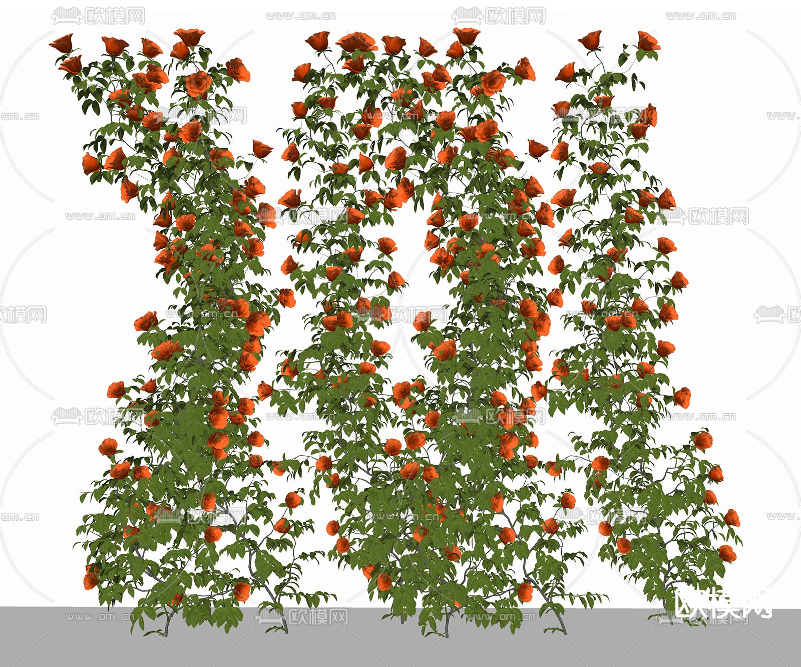 玫瑰花藤蔓su模型下载（渲染图2）