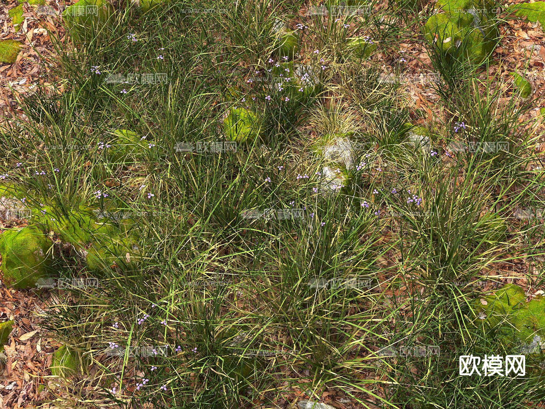 花草 花卉 草地 草坪su模型下载（渲染图1）