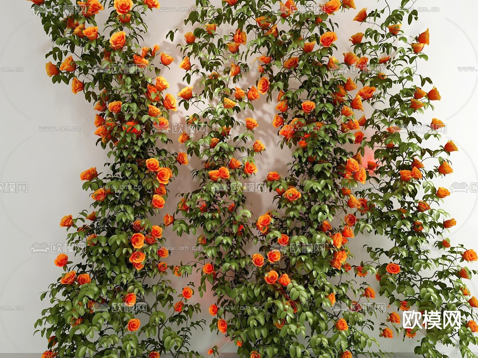 玫瑰花藤蔓su模型下载（渲染图1）