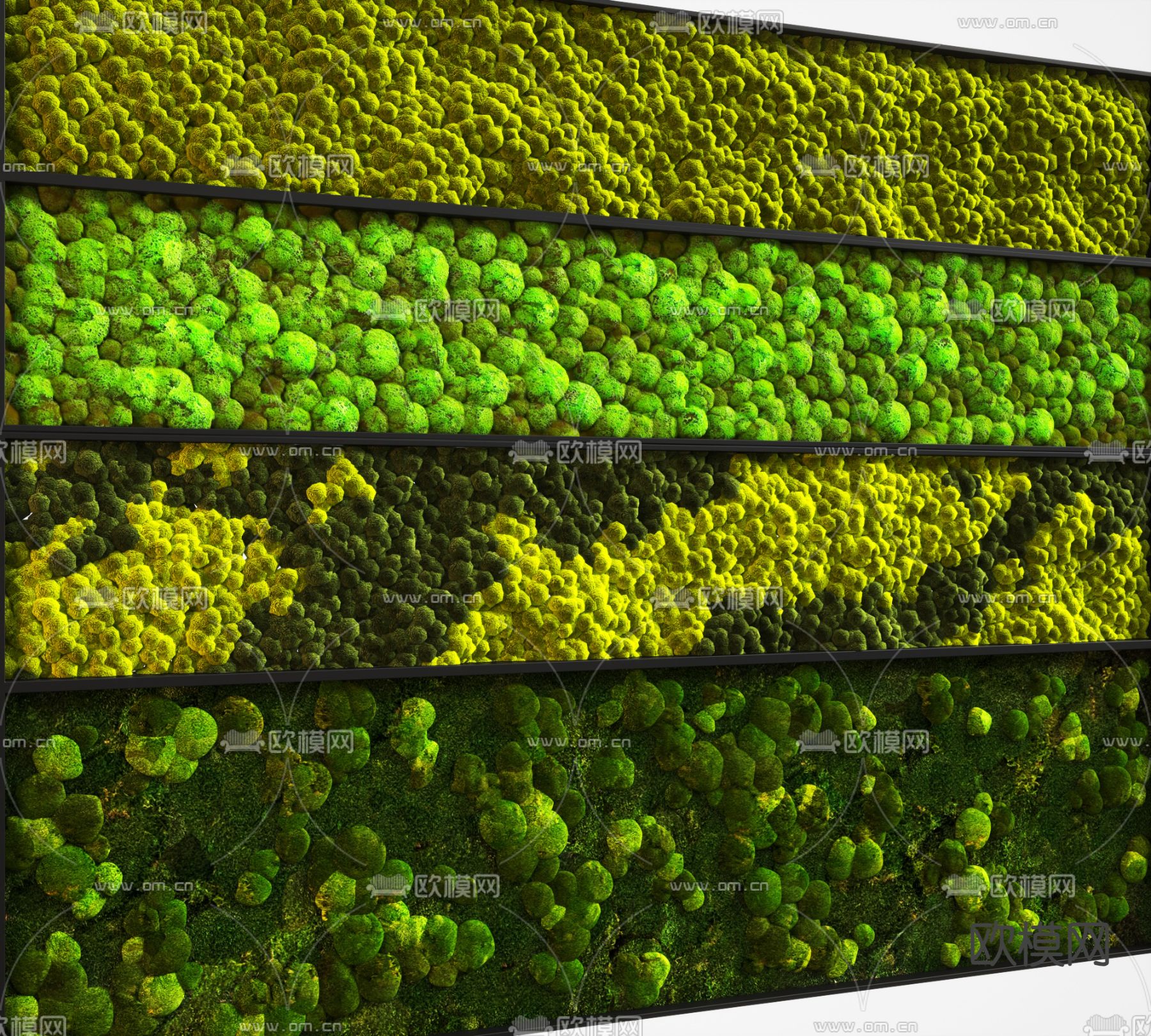 现代植物墙su模型下载（渲染图2）