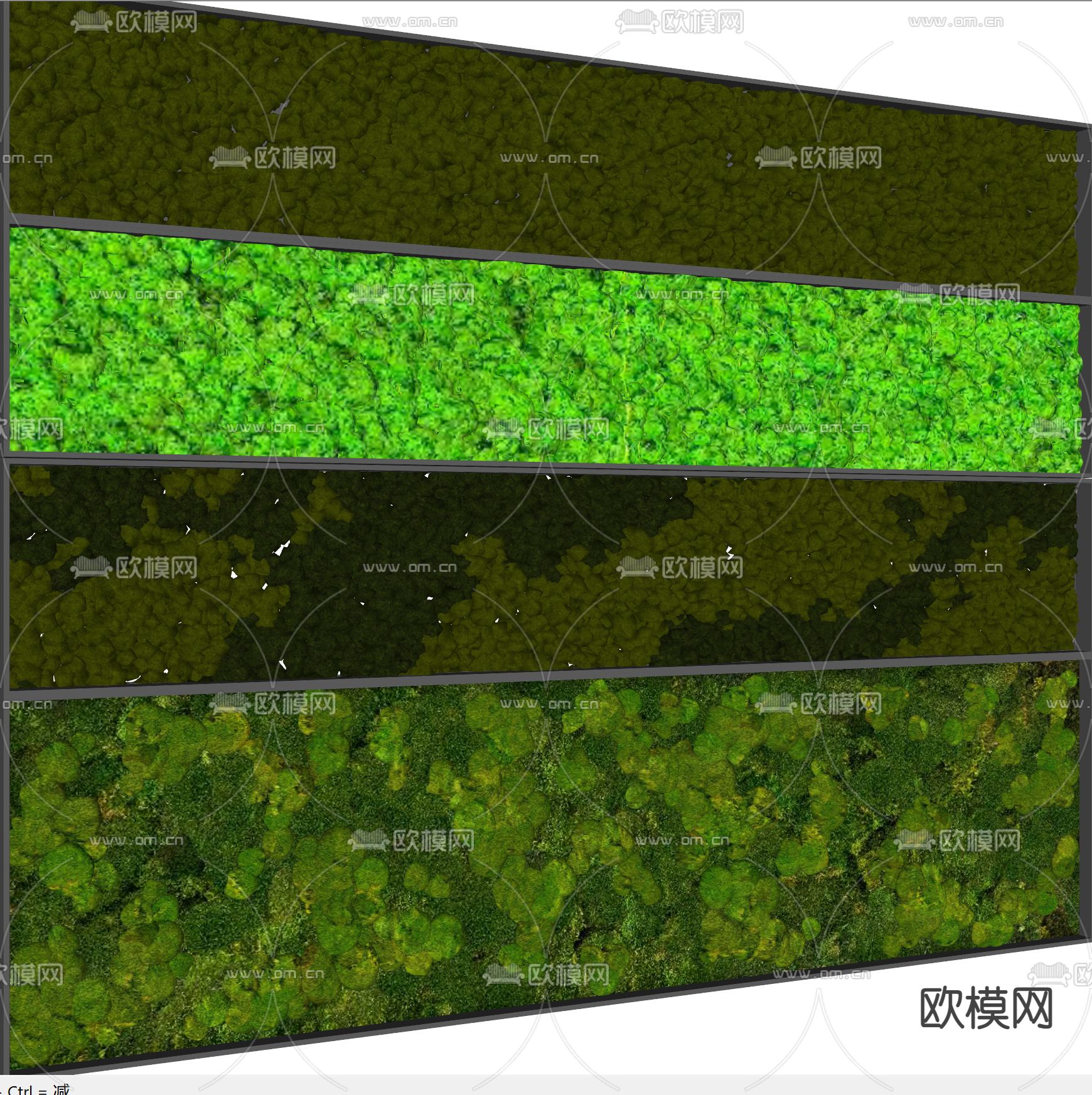 现代植物墙su模型下载（渲染图1）
