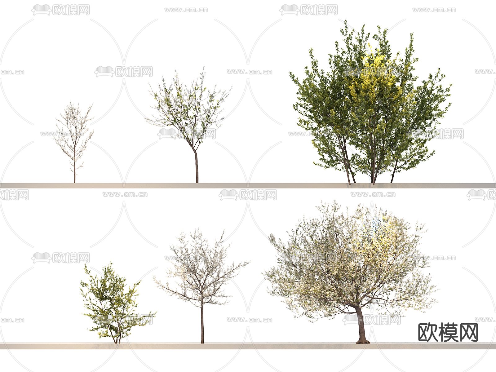 大树 树木 行道树 黄叶 灌木3d模型下载