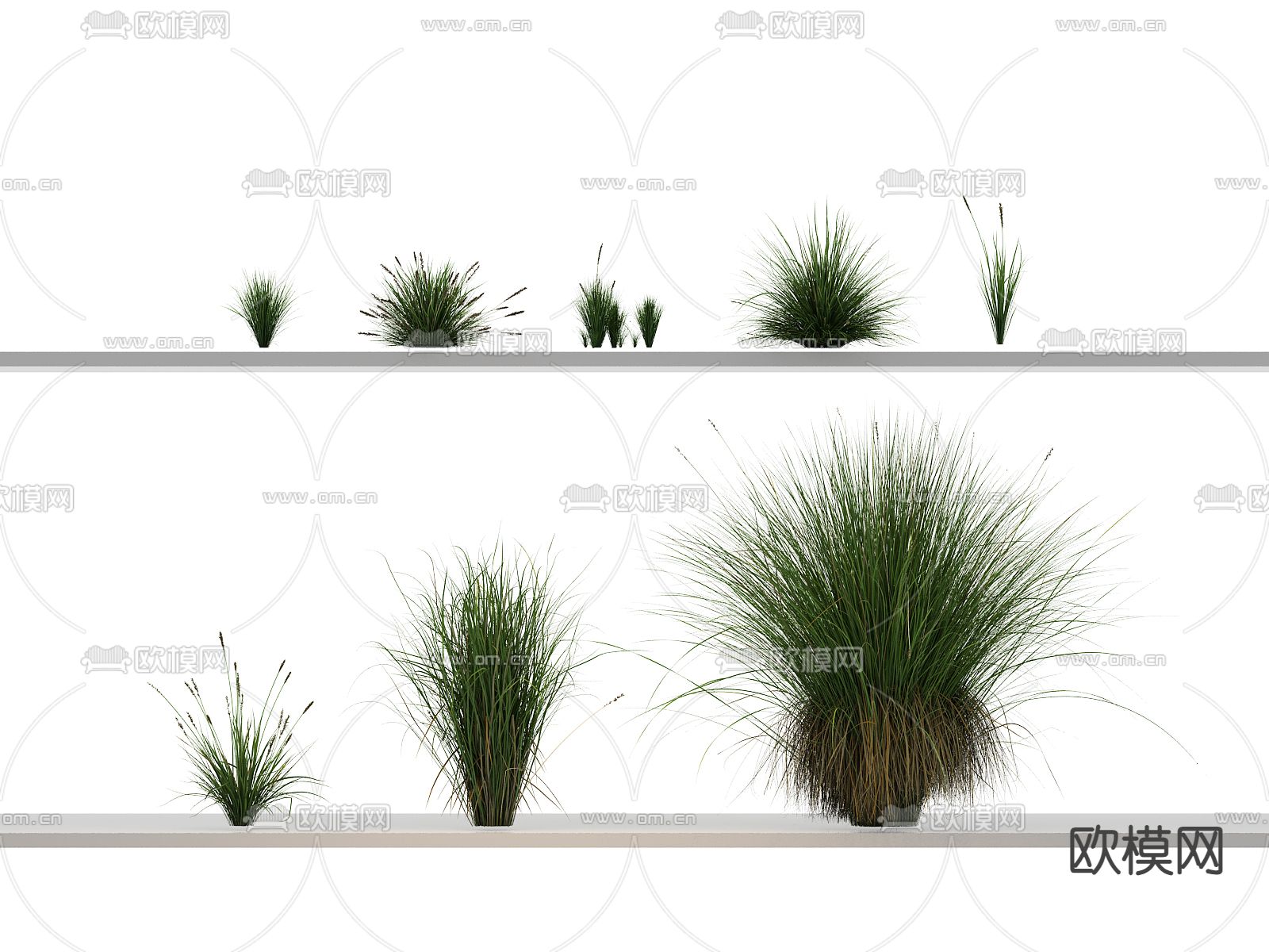 杂草 野草 草丛3d模型下载