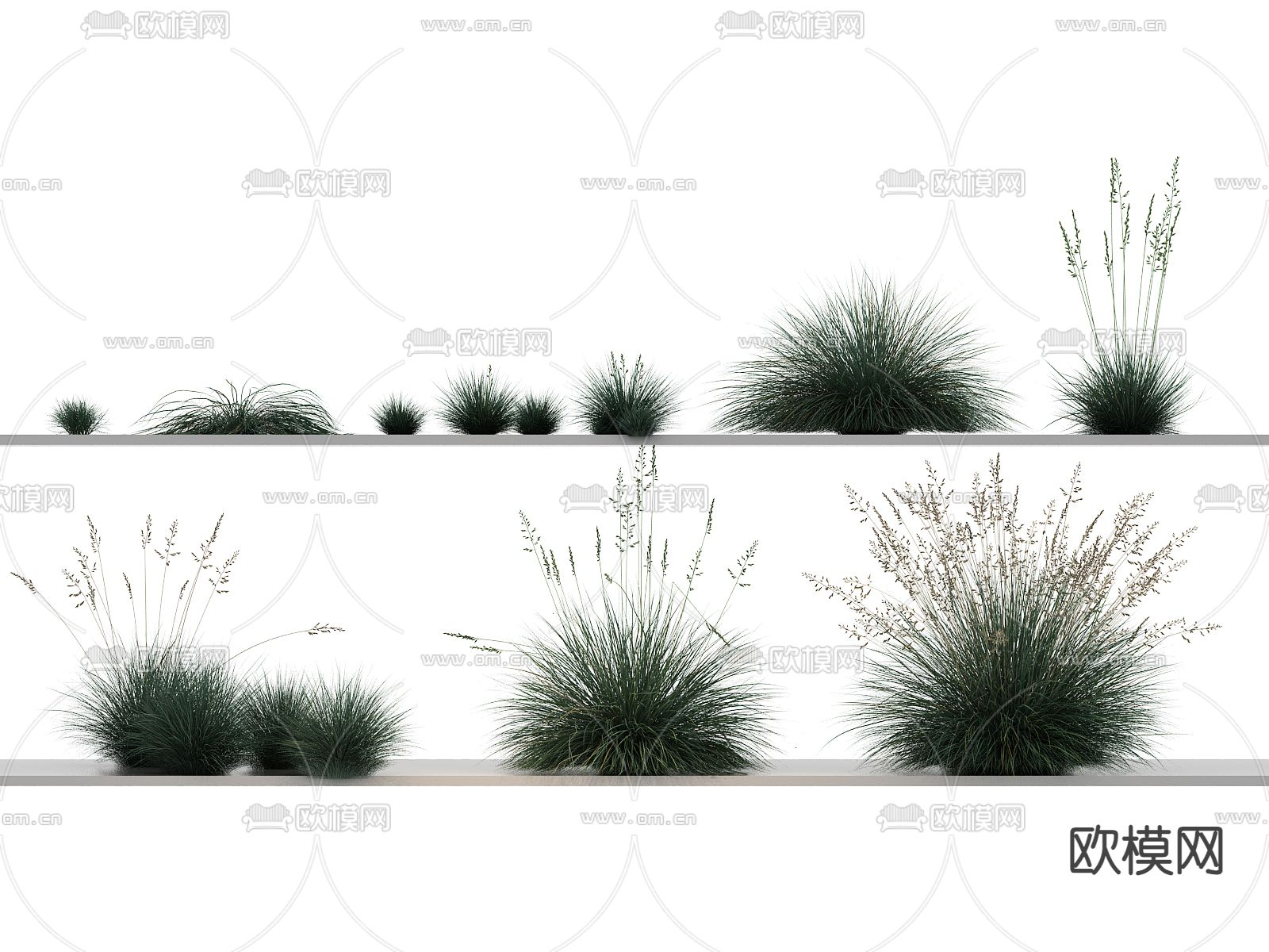 草丛 野草 狗尾巴 杂草3d模型下载