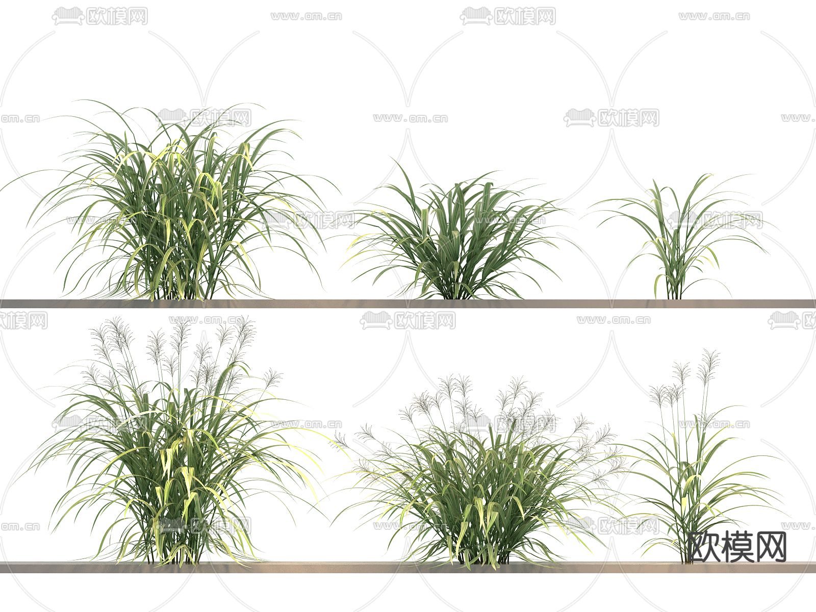 花草 绿植3d模型下载