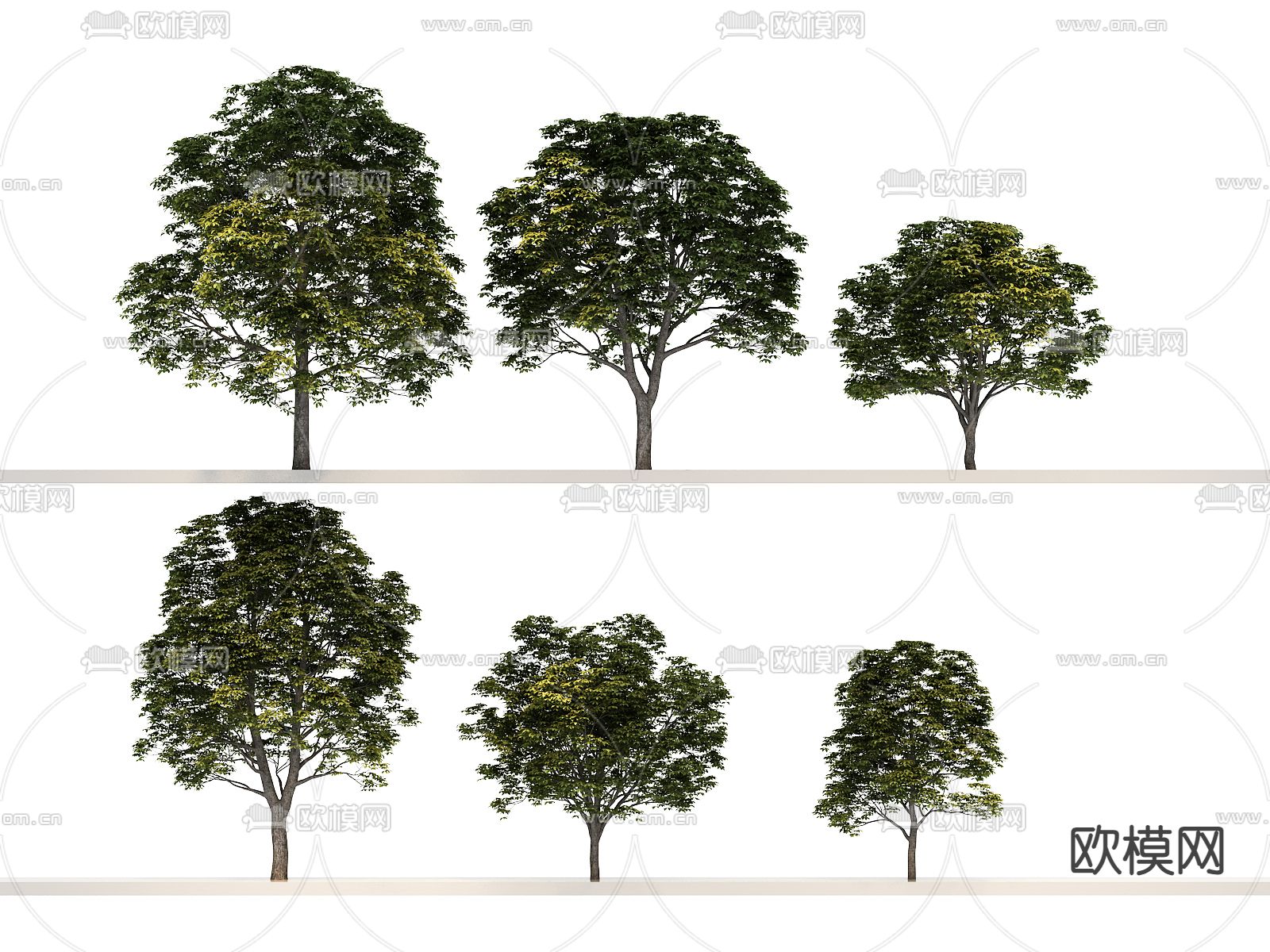 树木 大树 行道树 景观树3d模型下载