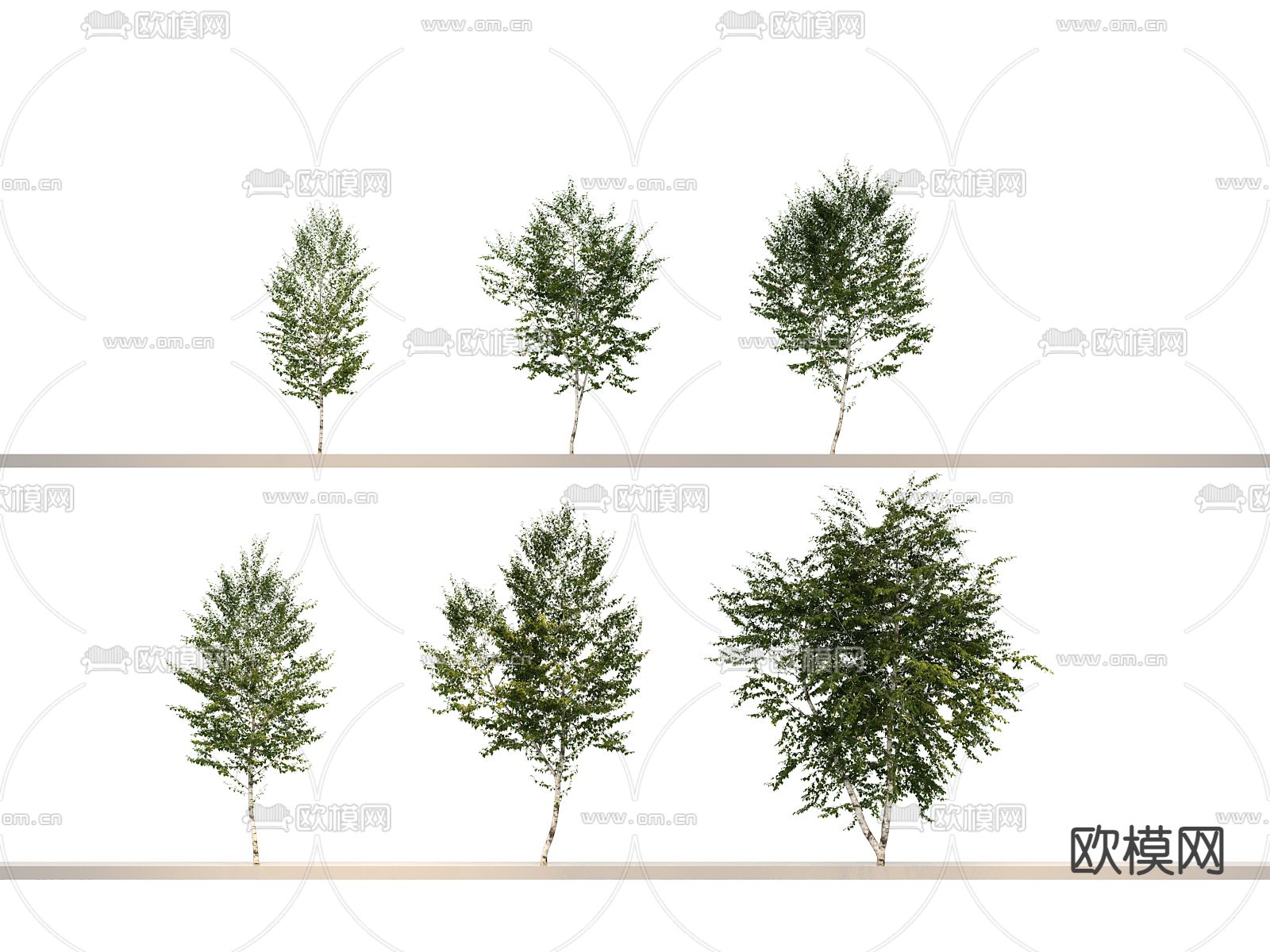 大树 景观树 行道树3d模型下载