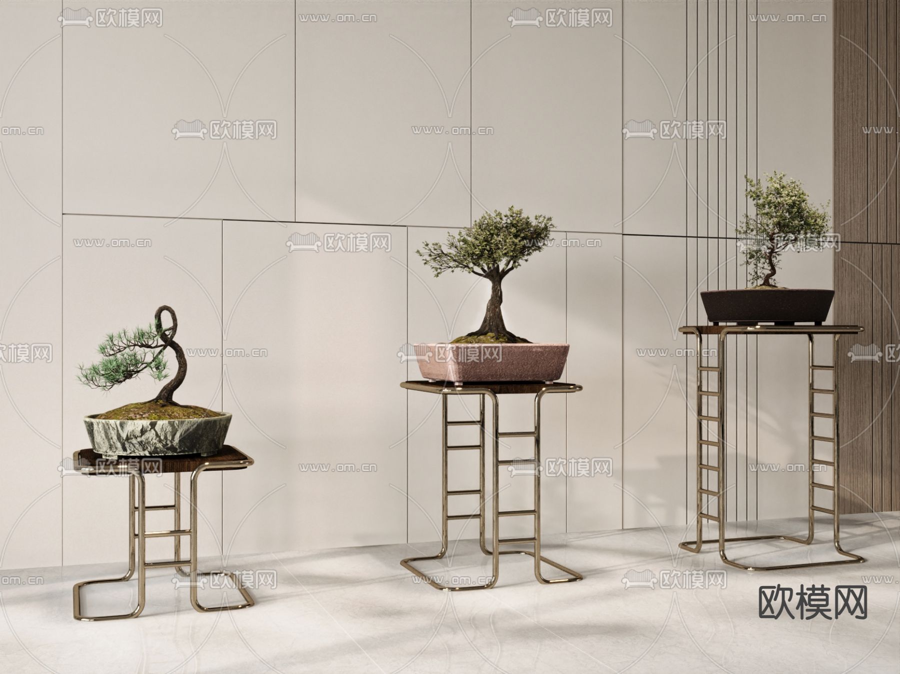 柏松盆栽 盆景 迎客松3d模型下载