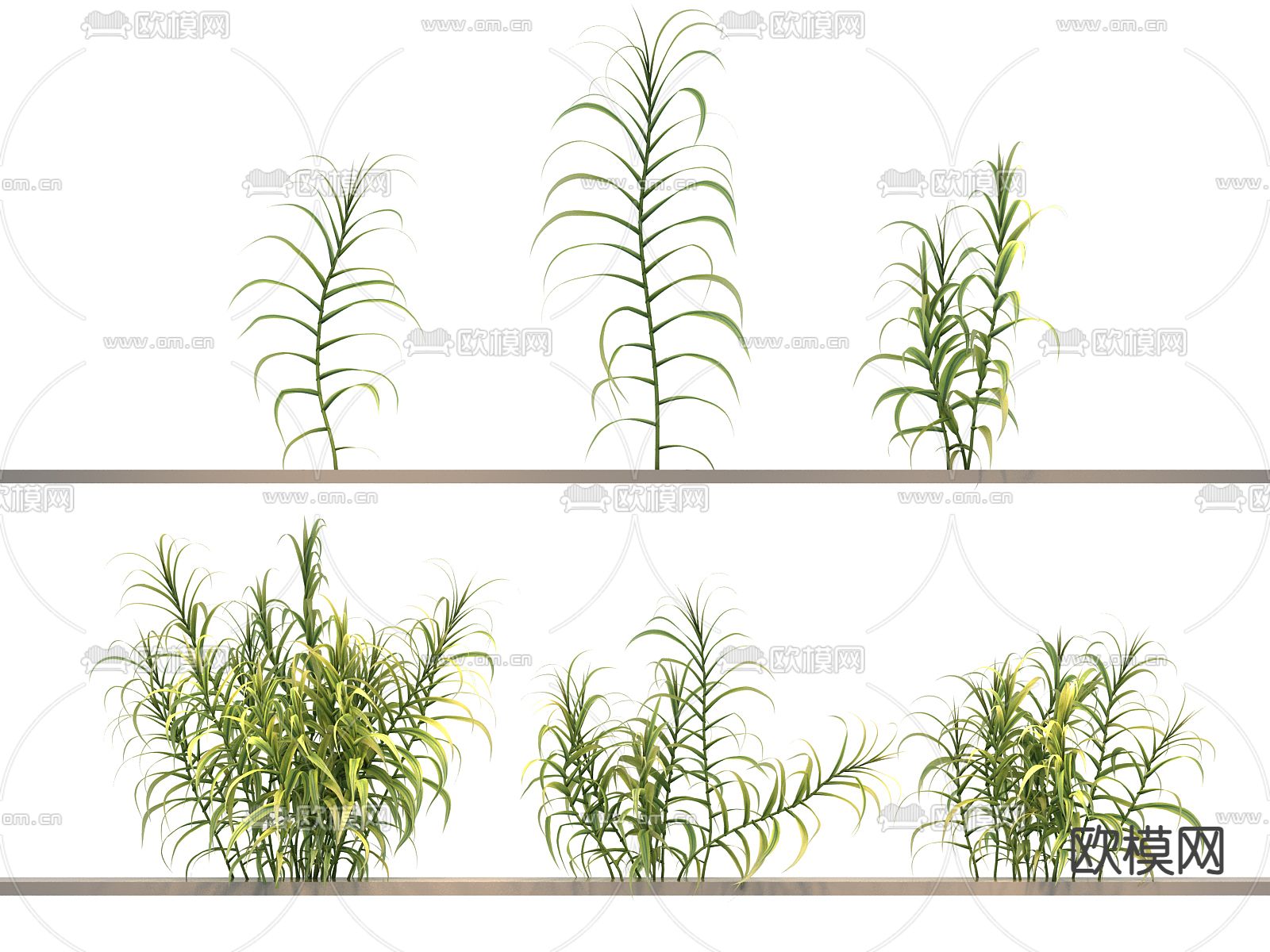 花草 绿植3d模型下载