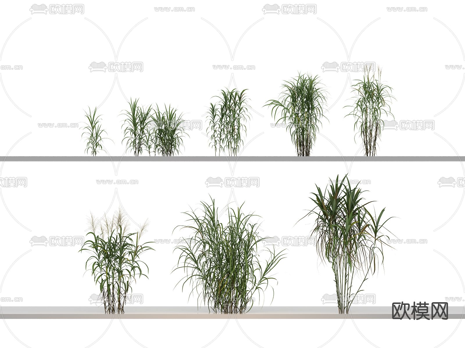 花草 杂草 野草 针茅 茅草3d模型下载