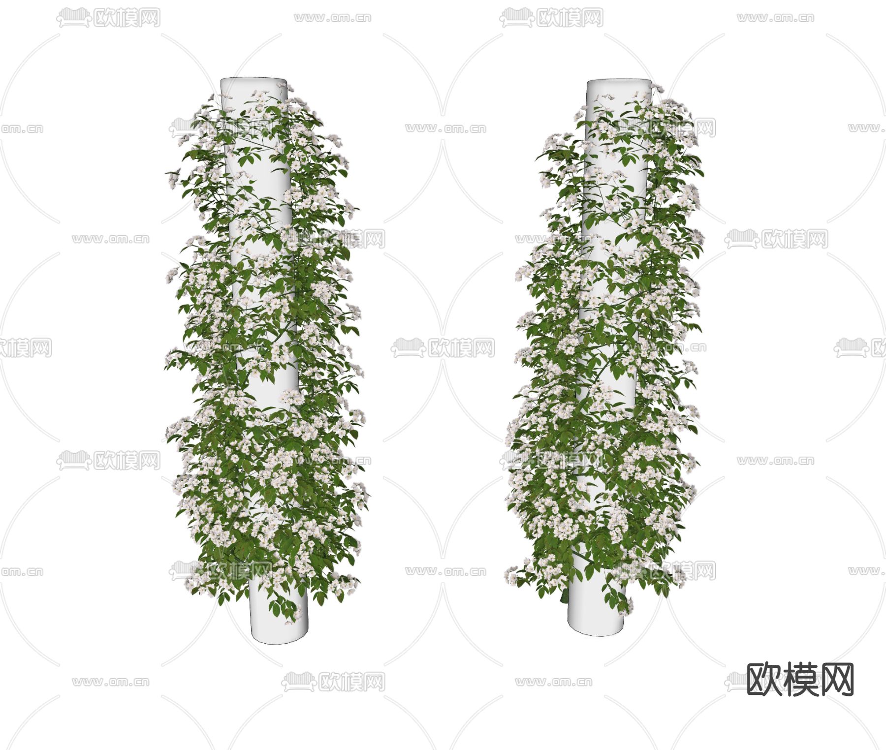 蔷薇 藤蔓su模型下载（渲染图2）