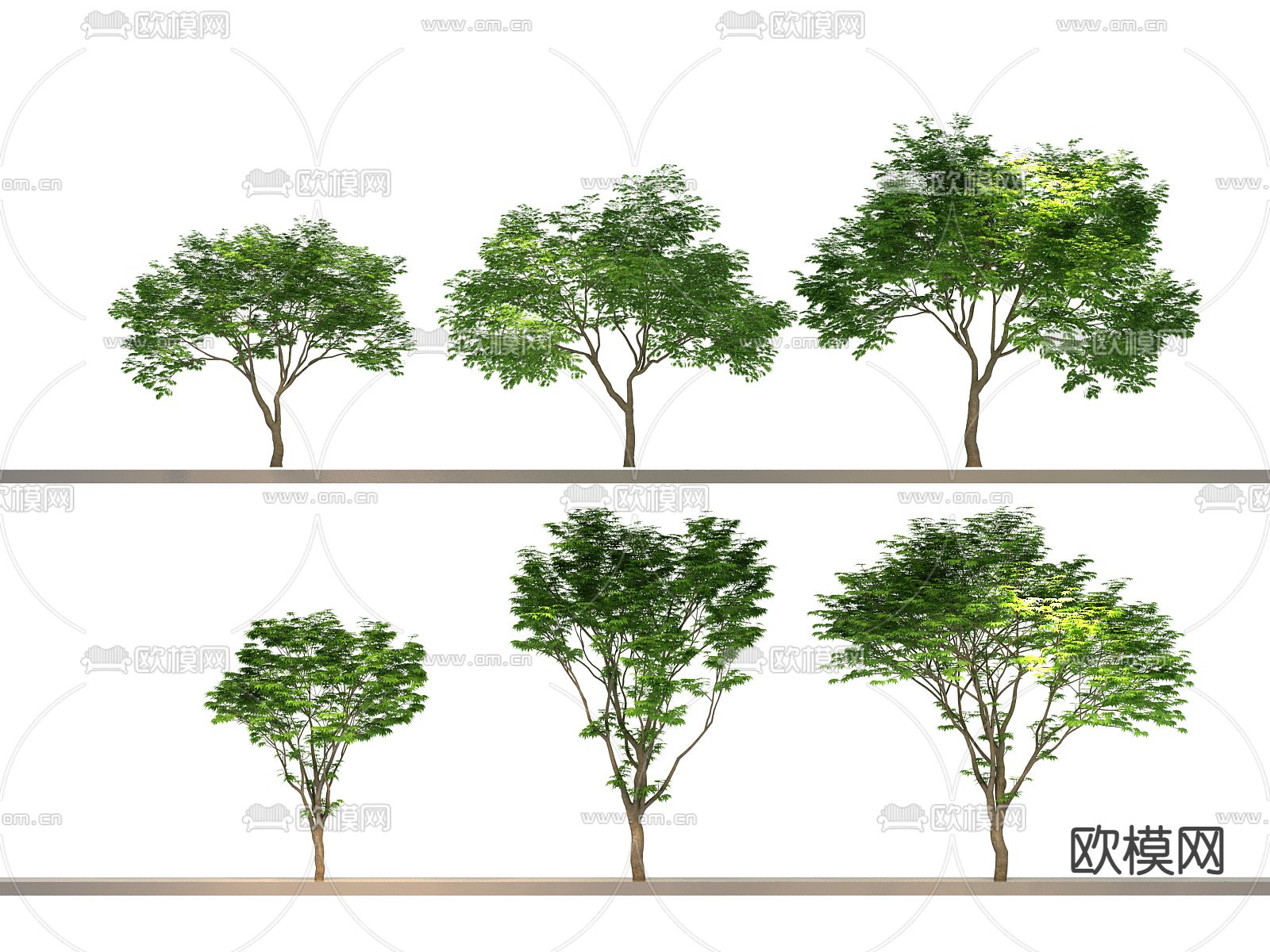 大树 树木 景观树3d模型下载_ID14304552_3dmax免费模型-欧模网