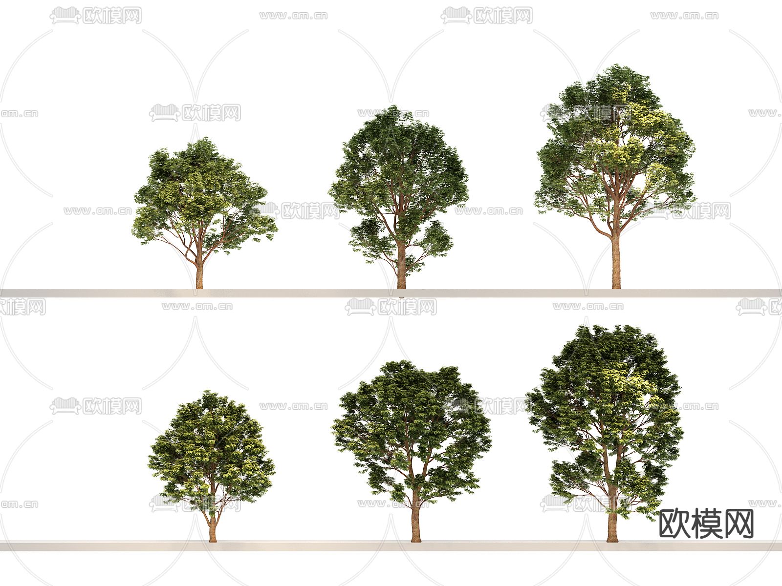 大树 树木 景观树3d模型下载