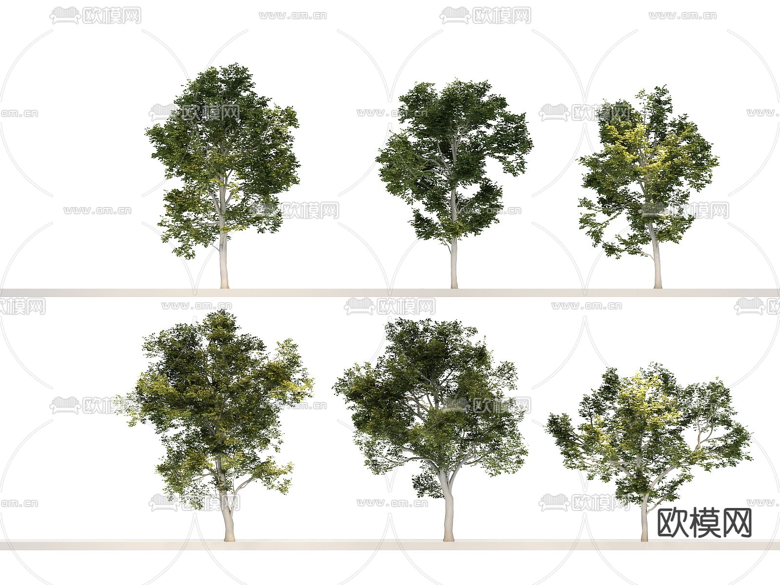 大树 树木 景观树3d模型下载