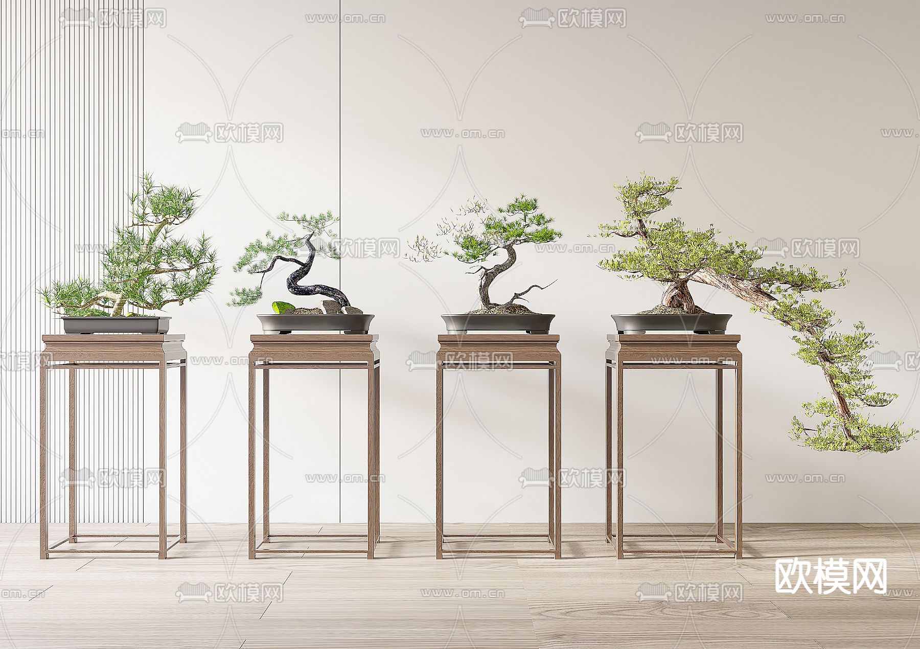 松树盆栽 罗汉松盆景3d模型下载_ID14305366_3dmax免费模型-欧模网