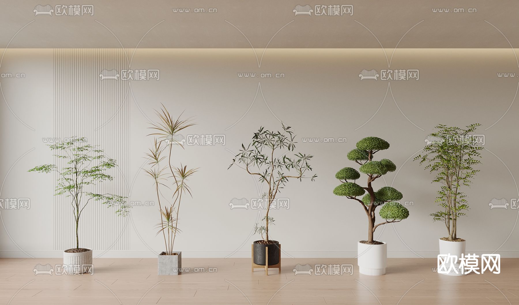 盆栽 盆景 松树 枯枝3d模型下载