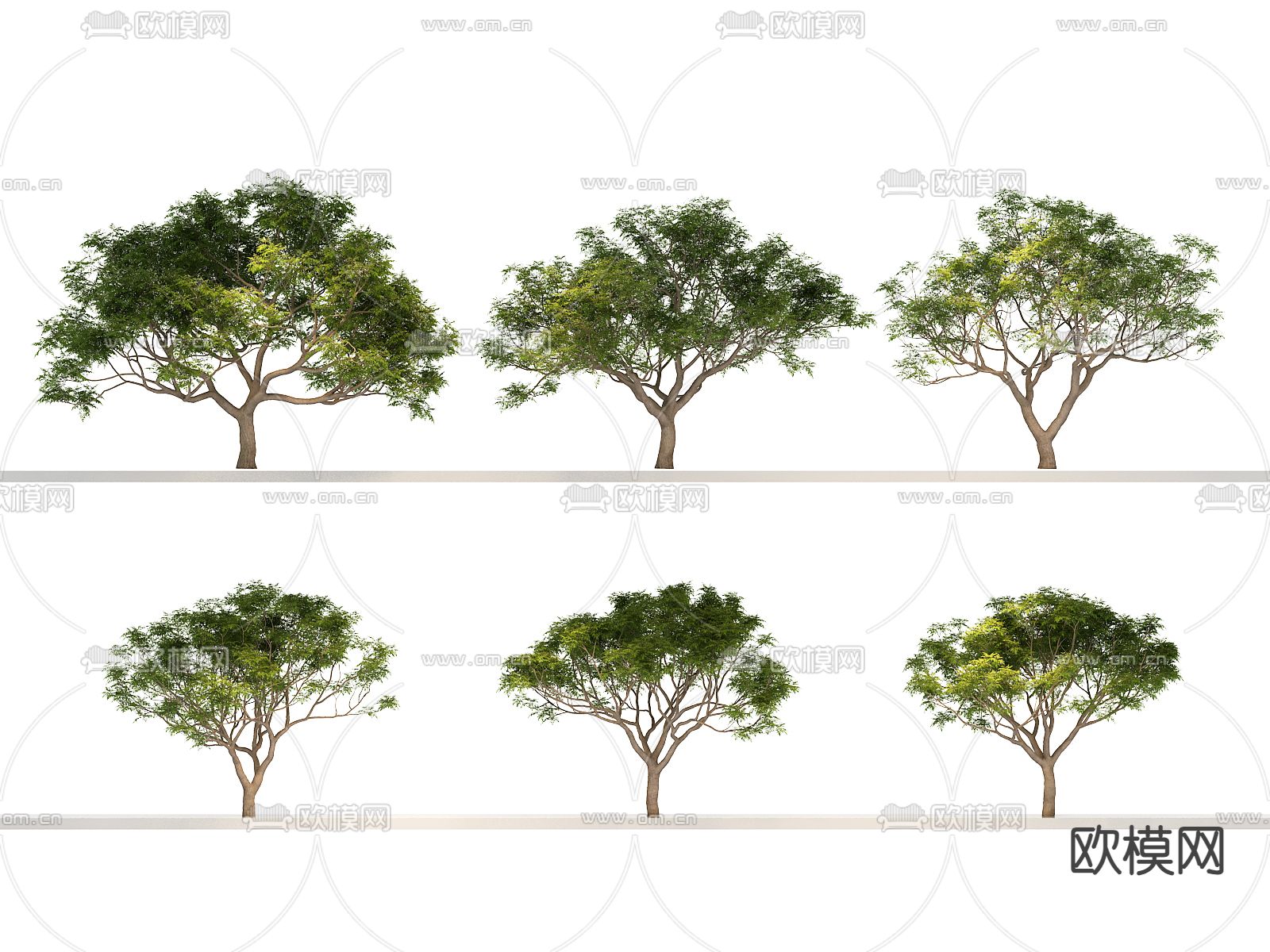 大树 树木 景观树3d模型下载