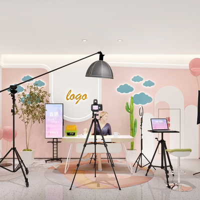  网红直播间su模型 