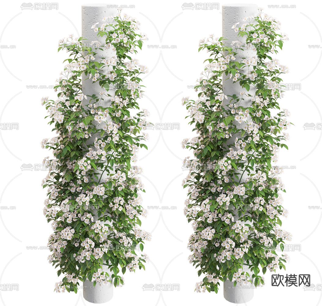 蔷薇 藤蔓su模型下载（渲染图1）