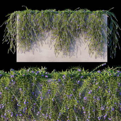  迷迭香藤蔓 爬藤su模型 