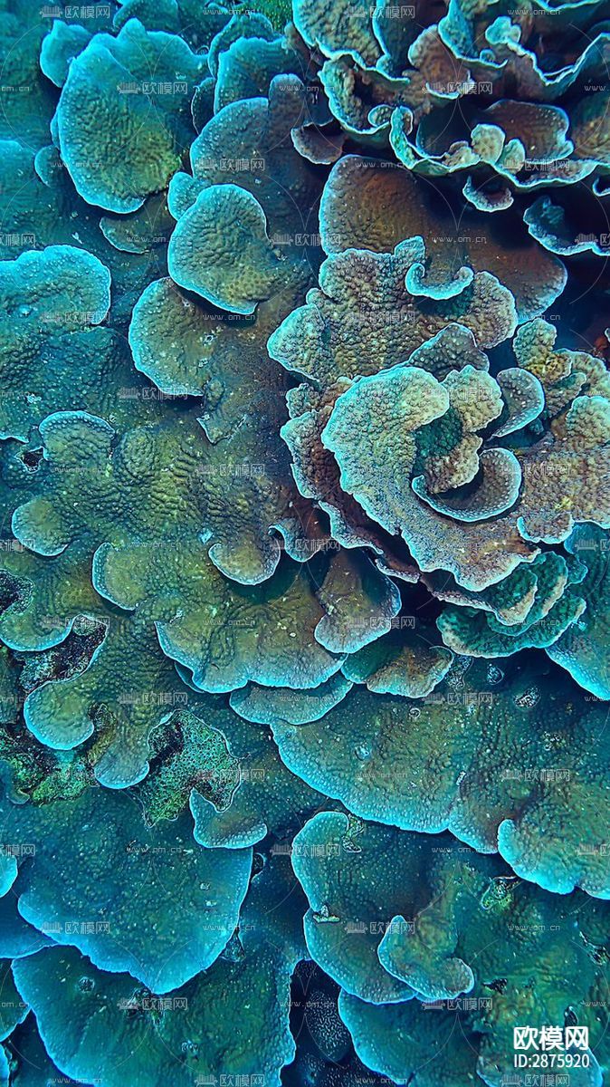 大理石贴图下载