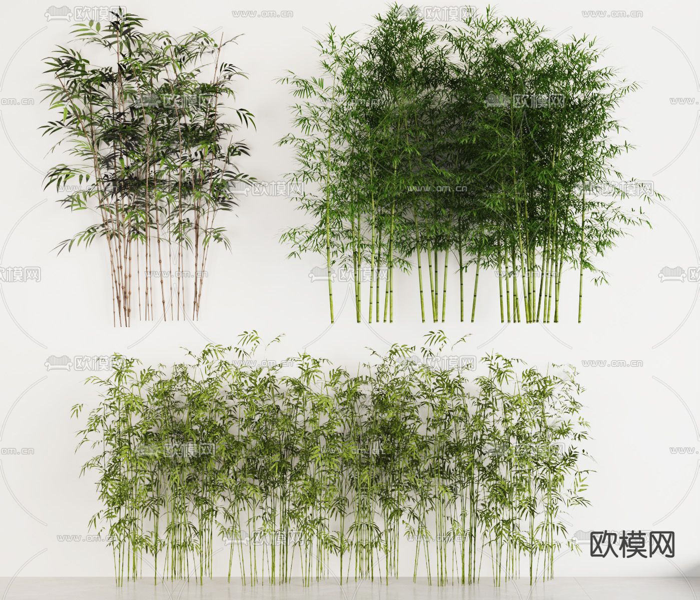 竹子 竹林 文竹3d模型下载