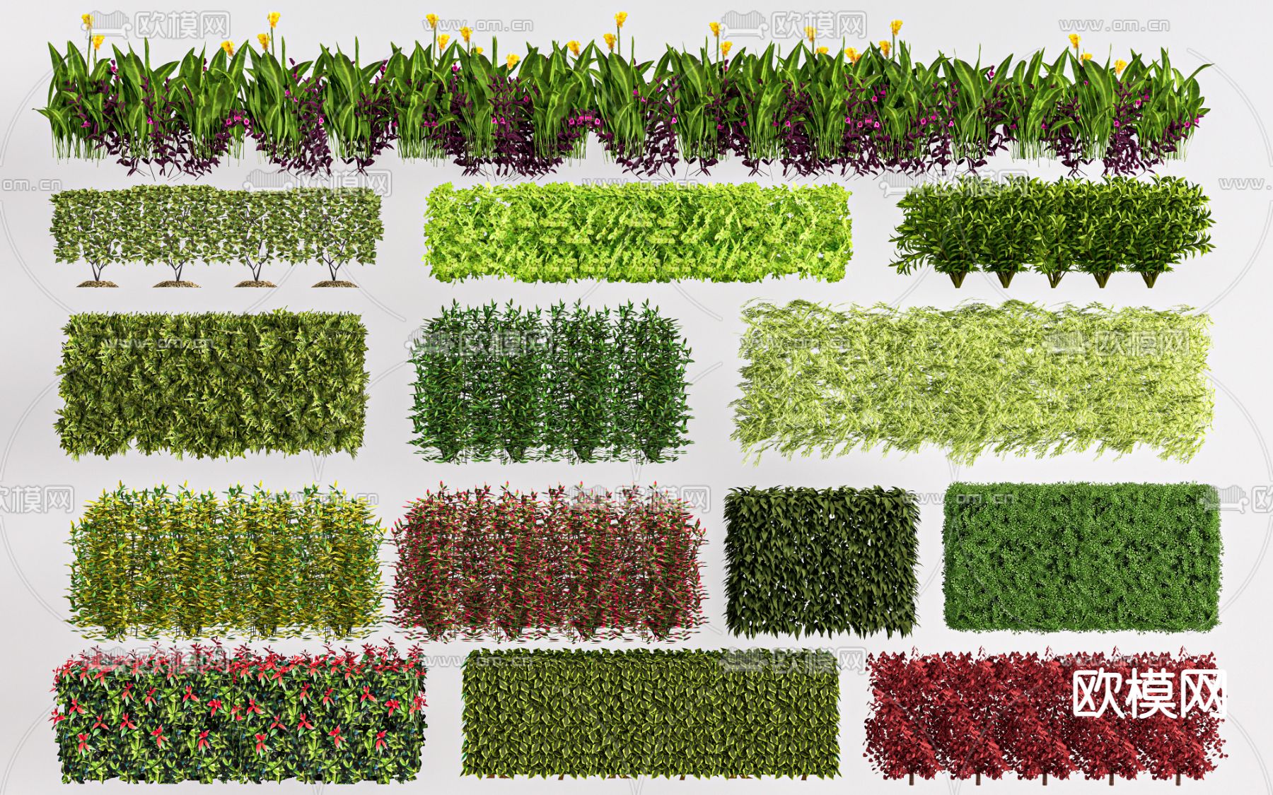 灌木丛 花镜su模型下载（渲染图1）