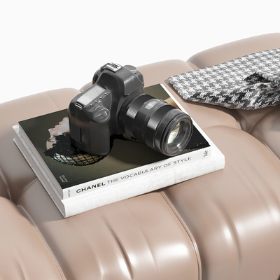  单反照相机 数码相机su模型 