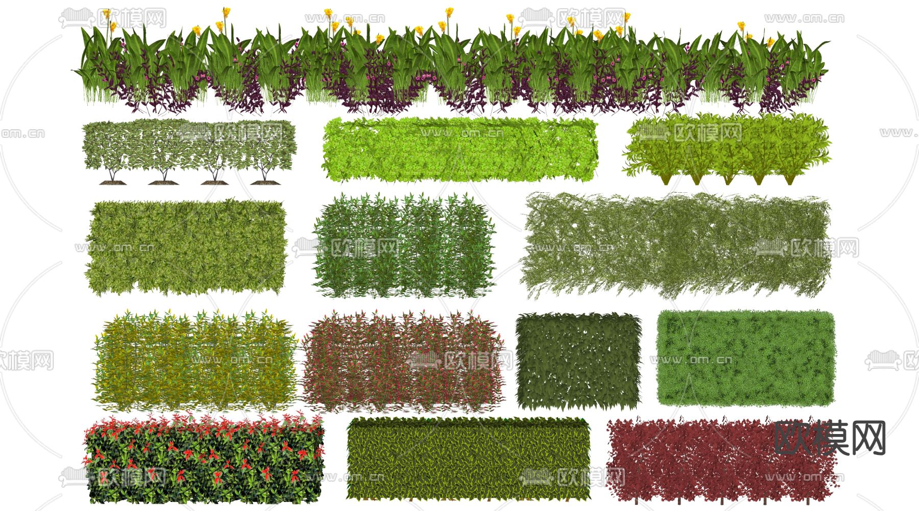 灌木丛 花镜su模型下载（渲染图2）