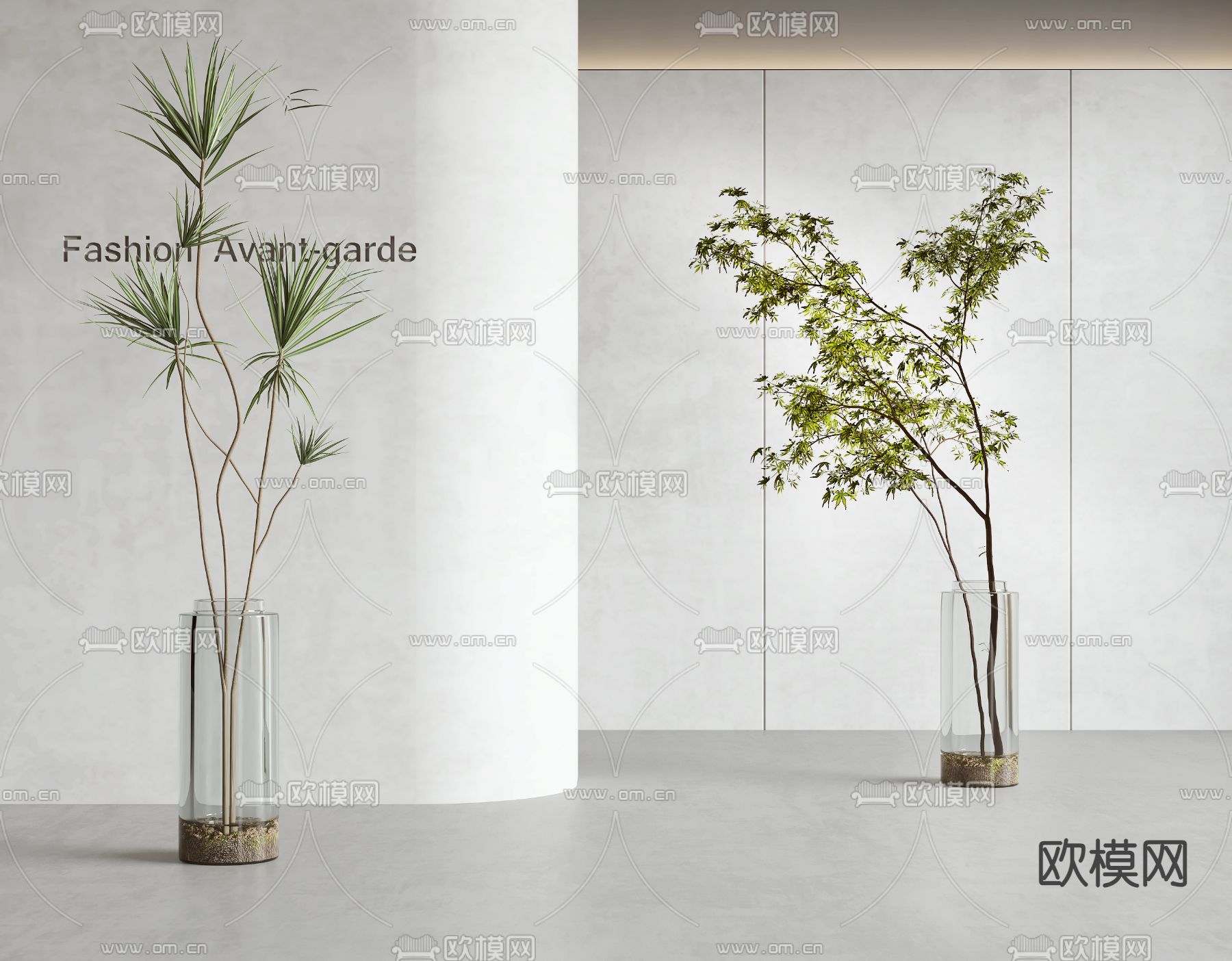 水生植物 水培绿植3d模型下载